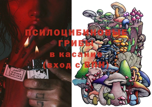 молекула духа Алексеевка