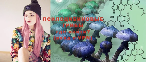 молекула духа Алексеевка